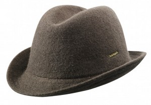 коричневую мужскую шляпу