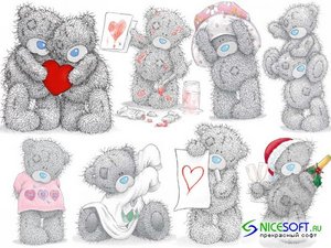 teddy bear