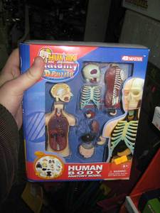 Human body kit