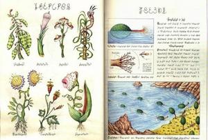 Codex Seraphinianus