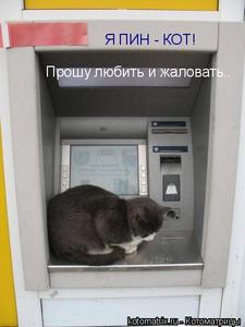 найти работу