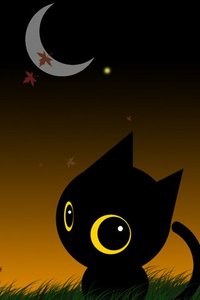 Чёрный котёнок (живой или игрушечный)