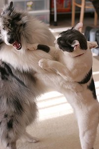 подраться с братом!