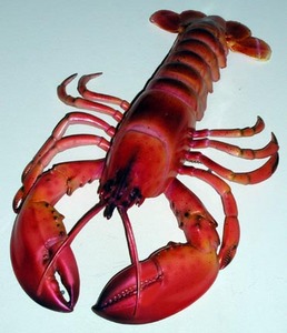 Lobster