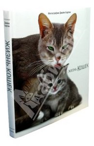 Жизнь кошек