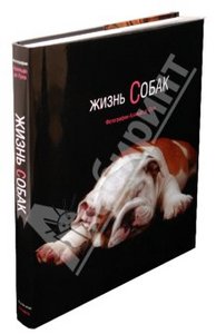 Жизнь собак