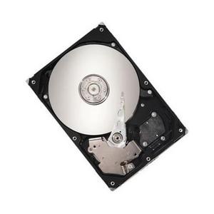 Seagate DiamondMax22 STM3500320AS SATA-II [107659]