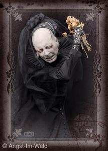 Дискографию Sopor Aeternus