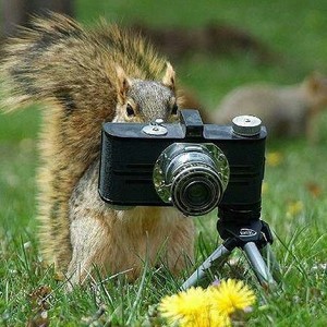 Научиться фотографировать