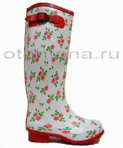 резиновые сапожки