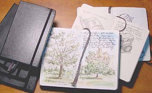 moleskine