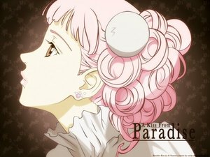 Paradise Kiss DVD