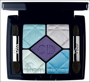 5-Colour Iridescent Eyeshadow