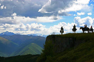 Конный поход на Алтай... ну или хотя бы в Ленобласть на пару дней..