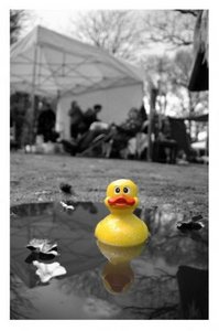 резиновая уточка)