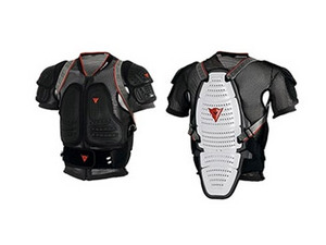 Защита Dainese