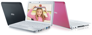 Microstar Wind U100-809RU Atom N280/2048/160Gb/WiFi/BT/Cam/Linux