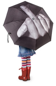 Зонтик от Лебедева