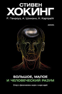 Стивен Хокинг  "Большое, малое и человеческий разум"