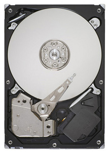 1Tb Seagate ST31000528AS