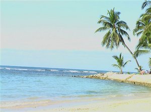 На МОРЕ дипломированным специалистом