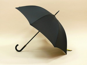Большой черный зонт не меньше 70 см в диаметре, или нанозонт.