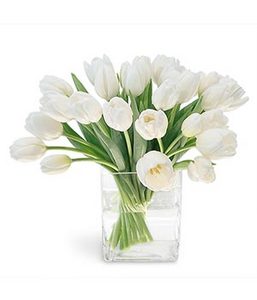 Букет маленьких беленьких цветочков