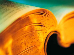 серьезно заняться иностранными языками