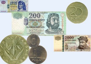 Приобрести венгерские монеты