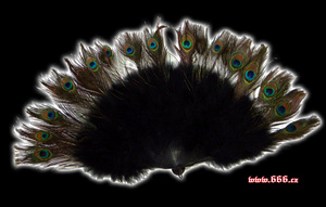 Веер с павлиньими перьями