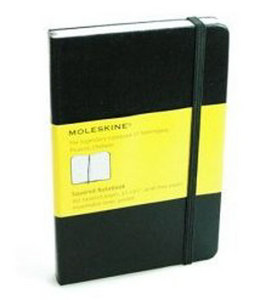 moleskine в линеечку