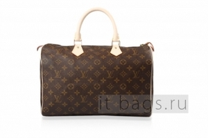 Louis Vuitton Monogram Speedy 35