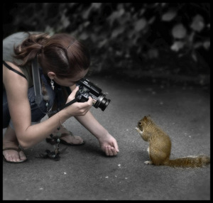 Уметь хорошо фотографировать!!!!!