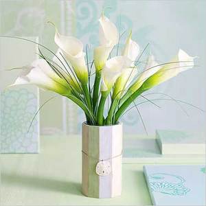 White calla lilies