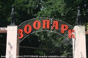 В зоопарк