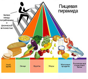 Правильно питаться