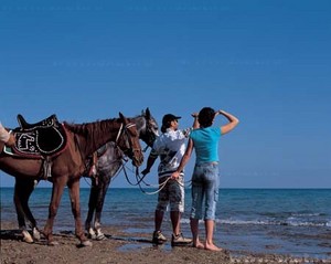 Прогулка на лошади