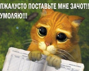 сдать сессию досрочно