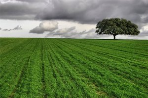 быть гордой и независимой от других людей