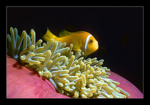 Автопутешествие на море всей семьей