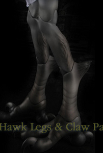 Soom Euclase's hawk legs