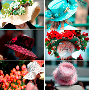 шляпы