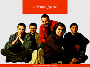 Сходить на концерт Animal Джaz