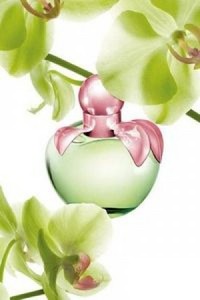 Love by Nina Ricci