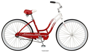 Schwinn Alloy