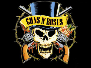 Концерт Guns'n'Roses