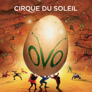 Cirque Du Soleil