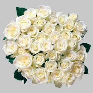 Большой букет белых или нежно -розовых роз