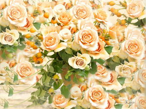 миллион белых роз