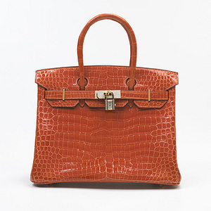 Сумка Birkin Hermes